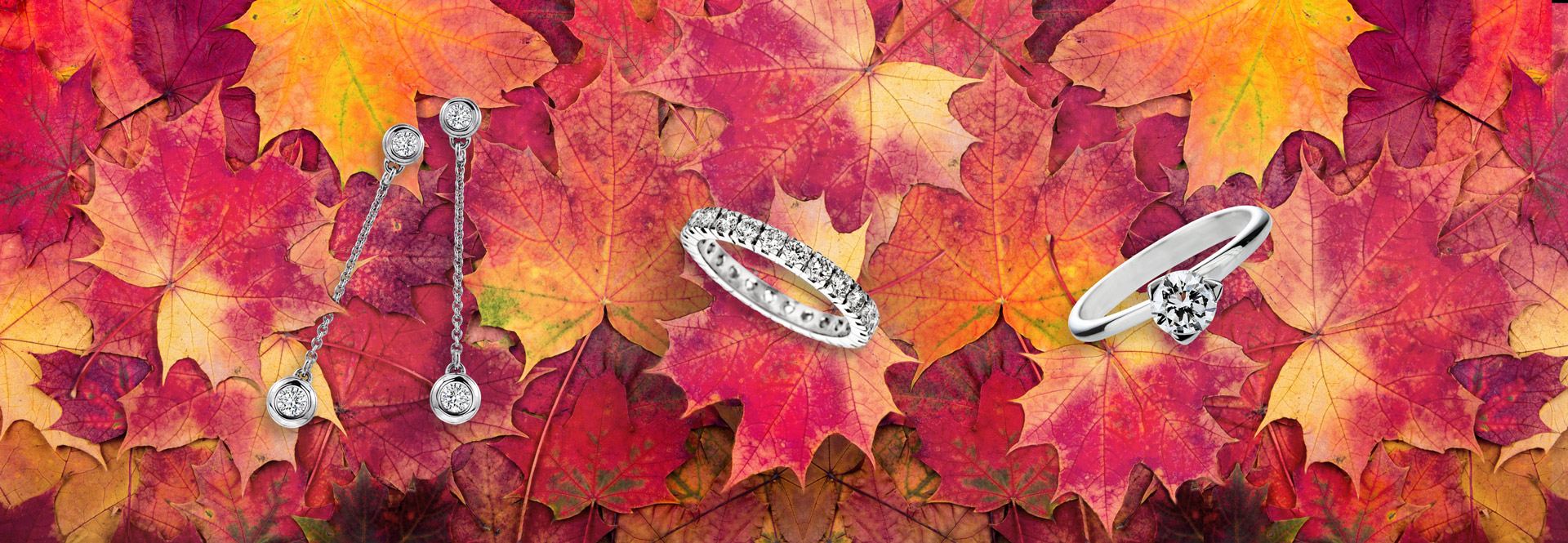 Discover our GIA-certified diamonds Diamond earrings, eternity band and solitaire ring, GIA certified, on autumn leaves